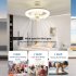 Ceiling Fan With Light  Small Ceiling Fans With Dimmable RGB Lights  5 ABS Blades  3 speed Wind  E27 Flush Mount Fan Light For Bedroom Living Room Kids Room RGB