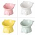 Ceramic Raised Cat Bowls Tilted Elevated Food Water Bowls Anti Vomit Microwave Dishwasher Safe Cat Bowl Pet Supplies white