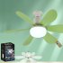 Chandelier Ceiling Fan With Lights Remote Control Memory Function Farmhouse Modern Ceiling Fans 3 Speeds 3 Color Temperatures For E27 Socket Bedroom Living Room