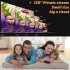 Cheap mini projector with 100 lumen LED  Perfect for watching movies or sports  1080p support and built in speakers for a great media experience 