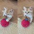 Chew Toy Cute Cat Plush Toy Durable And Bite Resistant Interactive Cat Kicker Toys Healthy Bite Resistant Cat Christmas Gifts For Indoor Pet Lovers onion red