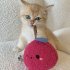Chew Toy Cute Cat Plush Toy Durable And Bite Resistant Interactive Cat Kicker Toys Healthy Bite Resistant Cat Christmas Gifts For Indoor Pet Lovers onion red