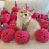 Chew Toy Cute Cat Plush Toy Durable And Bite Resistant Interactive Cat Kicker Toys Healthy Bite Resistant Cat Christmas Gifts For Indoor Pet Lovers onion red