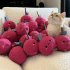 Chew Toy Cute Cat Plush Toy Durable And Bite Resistant Interactive Cat Kicker Toys Healthy Bite Resistant Cat Christmas Gifts For Indoor Pet Lovers onion red