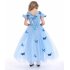 Children Girl Delicate Princess Dress Bubble Skirt Performance Dress for Halloween Rose red 120cm
