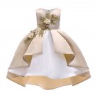 Children Girl Embroidery Princess Dress Wedding Party Flower Girl Formal Dress for Kids champagne 140 