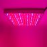 Chinavasion wholesale LED grow light   LED power for fast growing plants indoors   great dropship wholesale item 