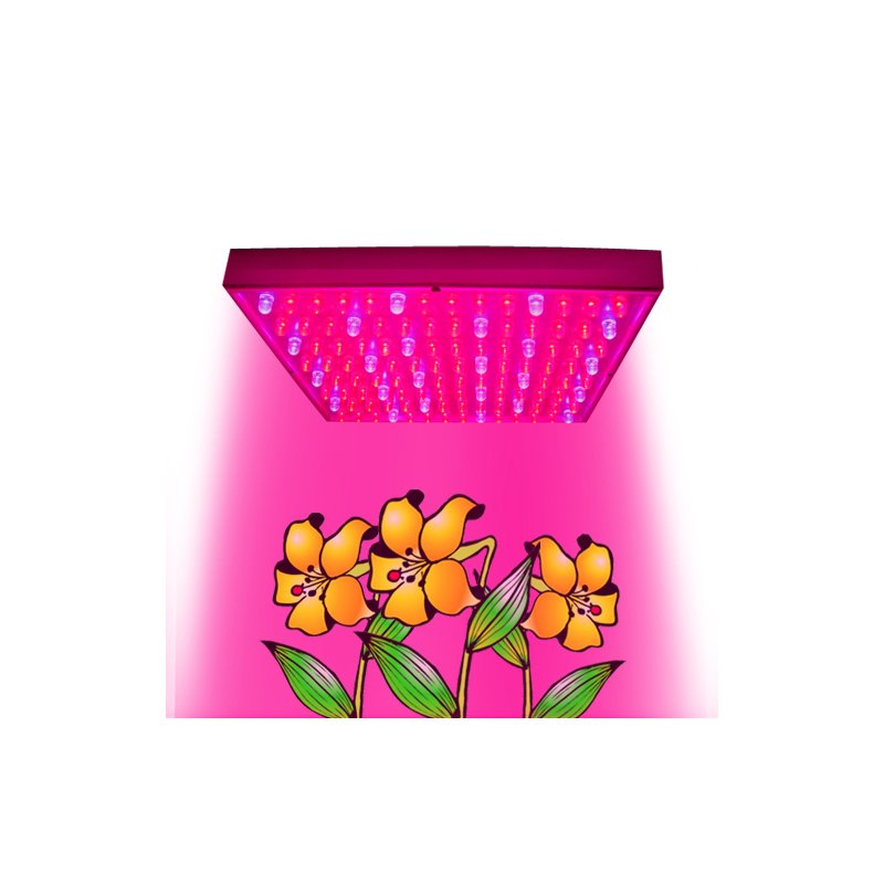 LED Grow Light