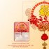 Chinese Hanging Decor Lunar New Year With Light Chinese Spring Festival Ornament For Home Wall Door Window Spring Festival Decorations Trumpet   2024 Year    