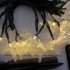 Christmas Solar Outdoor Waterproof String Lamp 30LED Starfish Color Lamps 6 5 meters 30 lights   white