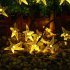 Christmas Solar Outdoor Waterproof String Lamp 30LED Starfish Color Lamps 6 5 m 30 lights   warm white
