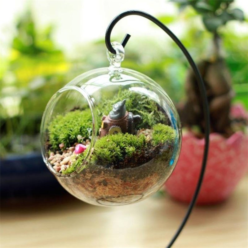 Creative Clear Glass Ball Vase