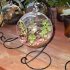 Clear Glass Ball Vase Micro Landscape Air Plant Terrarium Succulent Hanging Flowerpot Container