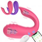 Clitoral Vibrator Wireless APP Remote Vibration Massager Nipple Stimulator Female Sex Toy For Adult Couples Women rose Red APP model