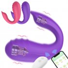 Clitoral Vibrator Wireless APP Remote Vibration Massager Nipple Stimulator Female Sex Toy For Adult Couples Women Purple APP model