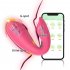 Clitoral Vibrator Wireless APP Remote Vibration Massager Nipple Stimulator Female Sex Toy For Adult Couples Women rose Red Remote control model