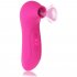 Clitoris Sucking Vibrator for Women Adorime Rechargeable Nipples Suction Stimulator Waterproof Adult Sex Toys rose Red