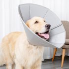 Collar Dog Cat Recovery Anti-Biting Ring Headgear for Protective Wound Pet Supplies gray_L