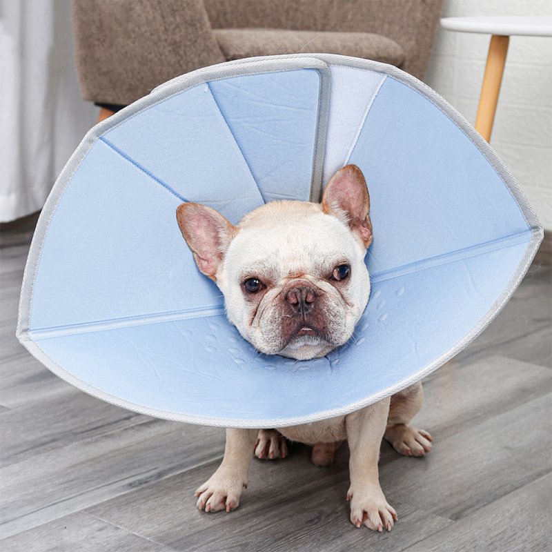 Collar Dog Cat Recovery Anti-Biting Ring Headgear for Protective Wound Pet Supplies blue_M