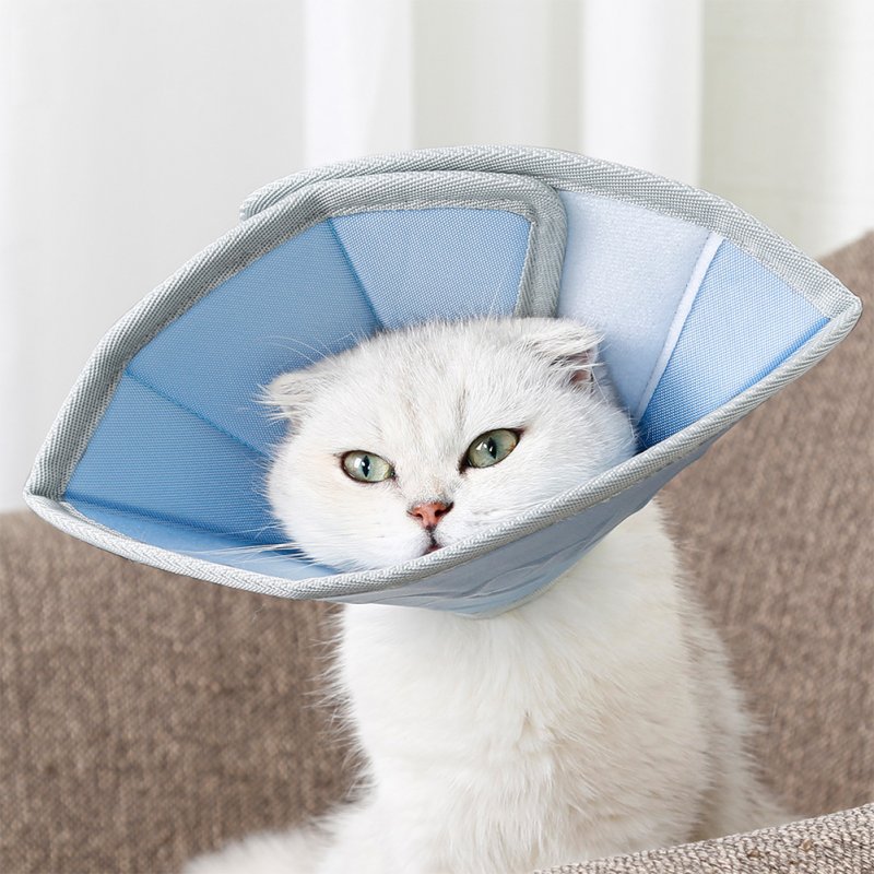 Collar Dog Cat Recovery Anti-Biting Ring Headgear for Protective Wound Pet Supplies blue_S