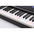 Colorful 88 Key Electronic Keyboard Piano Stave Note Sticker for White Keys