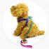 Colorful Adjustable Small Pet Nylon Leash Strap Traction Rope for Puppy  Rainbow Dogs Chest Strap Traction Chain   120cm 3 9ft 1 0 120cm