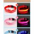 Colorful Pets  Lighting  Collar Rechargeable Led Luminous Size Adjustable Neck Strap For Large Medium Small Dogs Pet Supplies Red S Battery