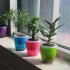 Colorful Self Watering Round Planter Flower Pot Home Garden Decor Professional Green Plant Vase Translucent pink Medium  M5 