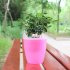 Colorful Self Watering Round Planter Flower Pot Home Garden Decor Professional Green Plant Vase Translucent pink Big  M7 