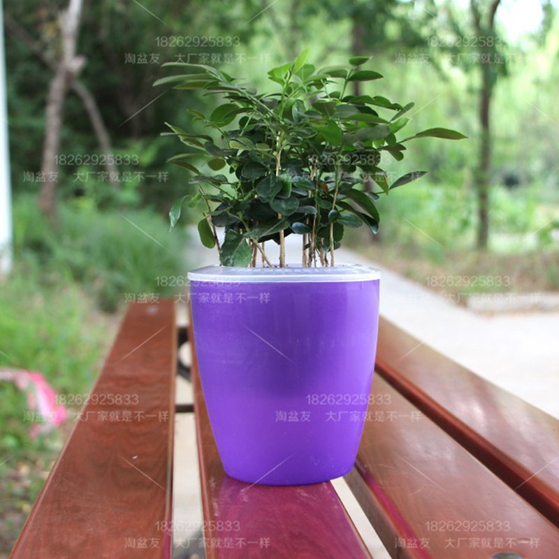 Colorful Self Watering Round Planter Flower Pot Home Garden Decor Professional Green Plant Vase Translucent purple_Medium (M5)