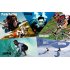 Compact 1080P Full HD Sports Camera with a waterproof case that gives this camera a 30 Meters Waterproof range