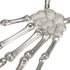 Cool Punk Rock Skeleton Skull Hand Ring Bracelet Bone Rivet Halloween Decro Party Prop Silver