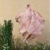 Cotton Blanket Machine Washable Lightweight Breathable Super Soft Throw Blanket For Hot Sleepers Night Sweats pink 130 x 160CM