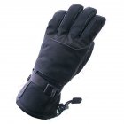 Couple Thickening Warm Windproof Waterproof Wear-Resistant Ski Riding Hiking Gloves black_L