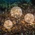 Cracked Glass Ball Solar Light LED Garden Outdoor Waterproof Ground Path Yard Lawn Lamp 10CM ball 20LED warm yellow light