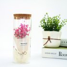 Creative Babysbreath Glass Dome with LED Ornament Artificial Flower Microlandscape Decoration Pink