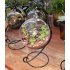 Creative Clear Glass Ball Vase Micro Landscape Air Plant Terrarium Succulent Hanging Flowerpot Container