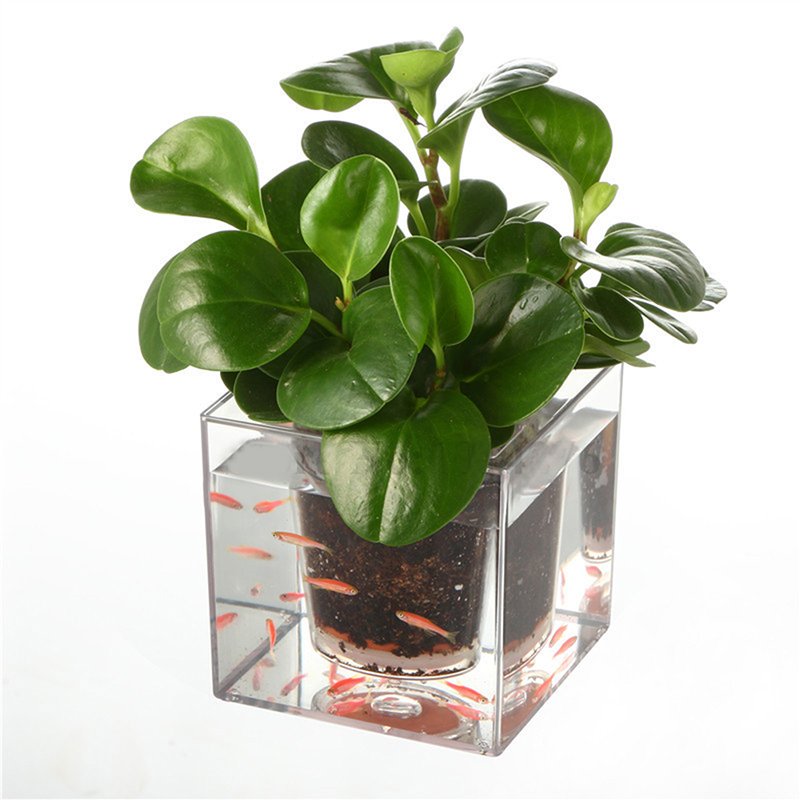 Creative Double-deck Multi-function Fish Tank Flowerpot Self-watering Transparent Planter Transparent_12 * 12 * 12cm