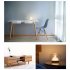 Creative Glass Fishbowl Fish Tank  Wood Base Glass Fish Aquariums  Small Snow Mountain Design Stylish LED Night Light  Mini Aquarium Desktop Ornaments mountain 