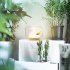 Creative Glass Fishbowl Fish Tank  Wood Base Glass Fish Aquariums  Small Snow Mountain Design Stylish LED Night Light  Mini Aquarium Desktop Ornaments mountain 