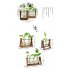 Creative Plant Glass Hydroponic Container Terrarium Desk Decor with Wood Stand Flower Pot Home Decoration 2 glass balls