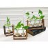 Creative Plant Glass Hydroponic Container Terrarium Desk Decor with Wood Stand Flower Pot Home Decoration 2 glass balls