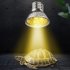 Creeping Pet  Heating  Lamp 25w   50w   75w UVA UVB Full Spectrum Tanning Bulb Insulation Light For Tortoise Reptile Pets Supplies 25    110   