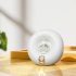 Cute Cat Motion Sensor Night Light Rechargeable Magnetic Nightlights Adjustable Brightness Cartoon Cat Led Lamp USB Charging  For Hallway Bedroom Nursery pink