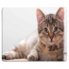 Cute Cat Pattern Printing Anti-Slip Mouse Pad