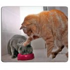 Cute Cat Pattern Printing Anti-Slip Mouse Pad