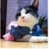 Cute Denim Princess Dress with Bowknot for Pet Cat Dog Spring Summer Wear XS