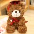 Cute Doctor Cap Bear Doll Graduation Bear Plush Doll Stuffed Plush Toys For Birthday Graduate Gifts For Student Kids red hat B 23cm
