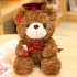 Cute Doctor Cap Bear Doll Graduation Bear Plush Doll Stuffed Plush Toys For Birthday Graduate Gifts For Student Kids black hat A 28cm