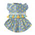 Cute Dot Printing Tassel Dress for Pet Dogs Summer Spring Outdoor Wear blue XL